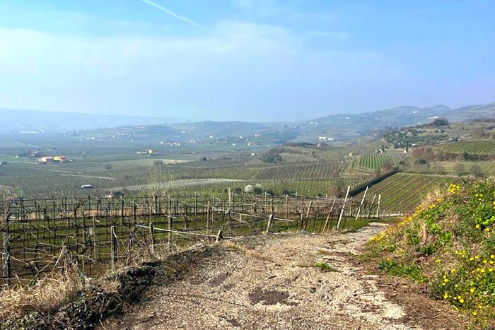 📅 Prenota la tua E-Bike